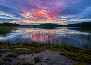 Beautiful red, yellow and blue sunset in the background; a wetlands, marshy water in the center of the photo, and dry soil.