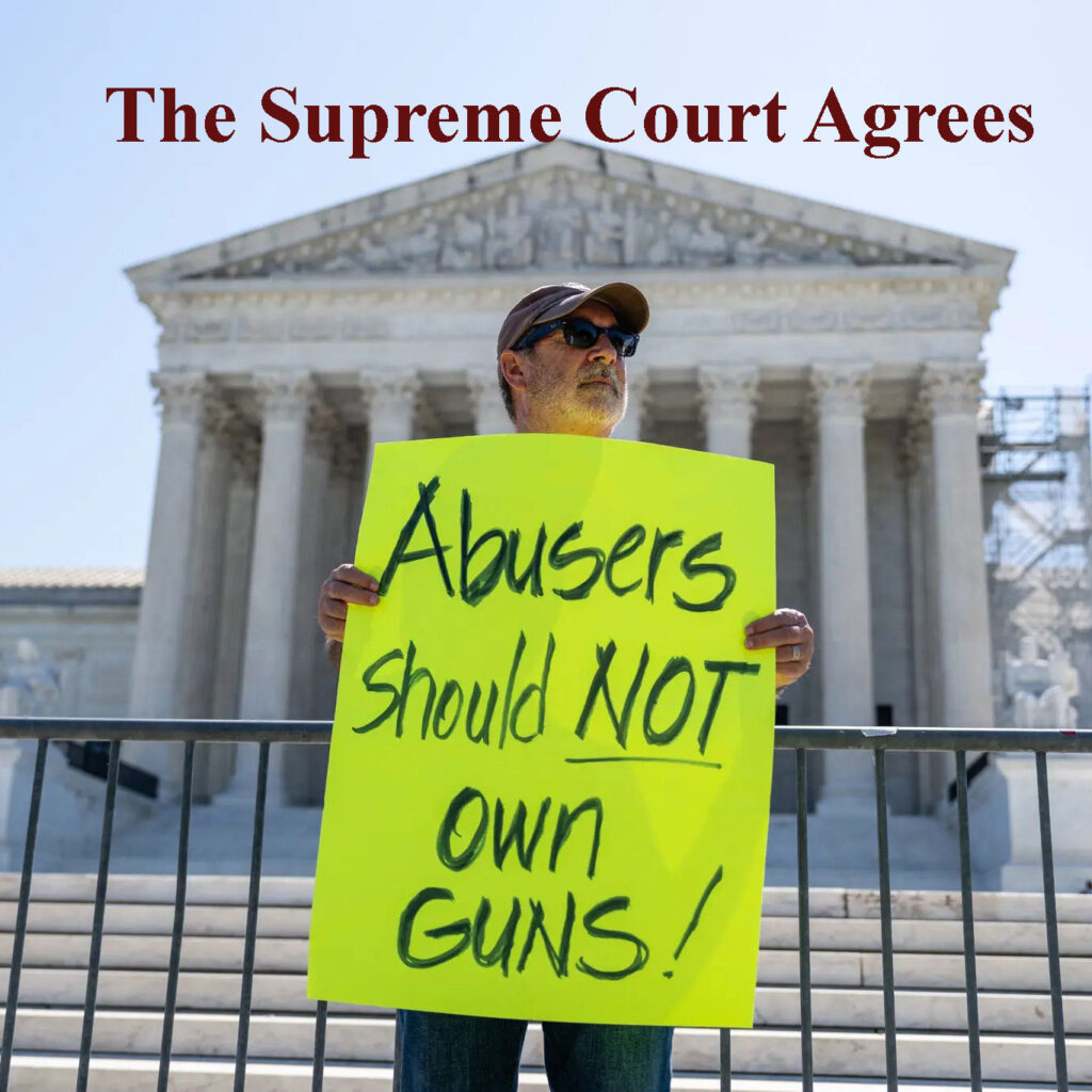 Abusers should not own guns